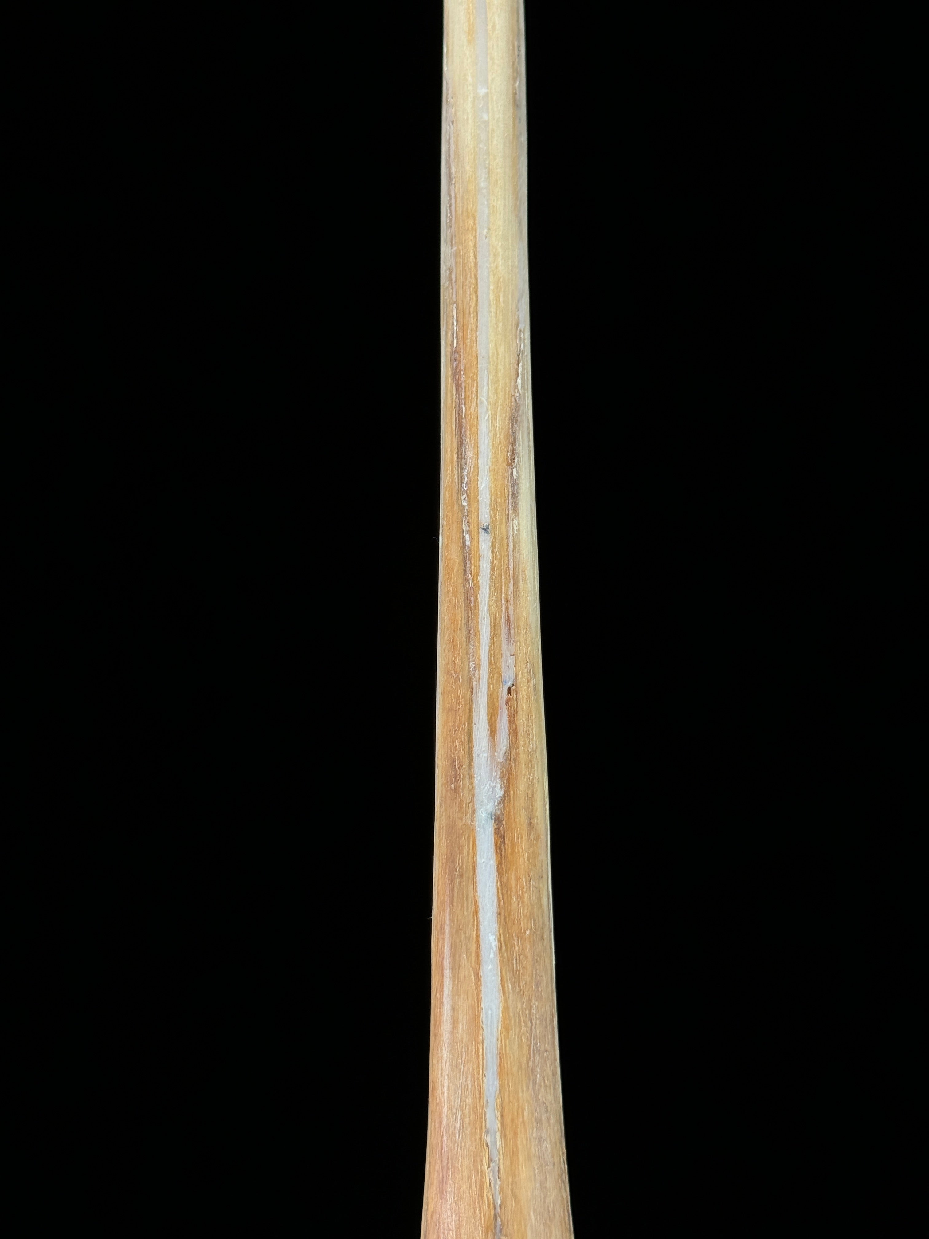 Marlin tusk on stand  - Tusk,A/018