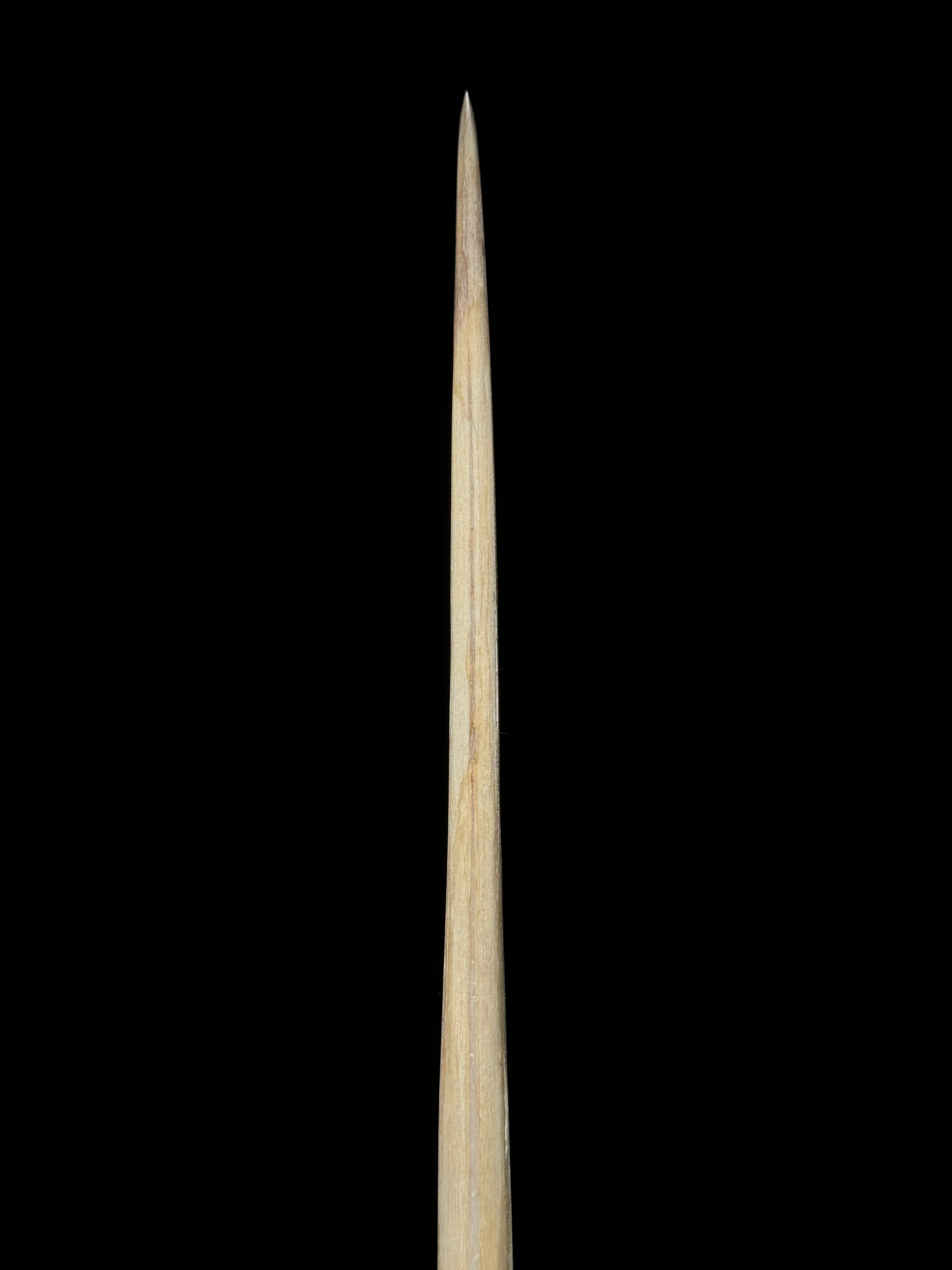 Marlin tusk on stand  - Tusk,A/018