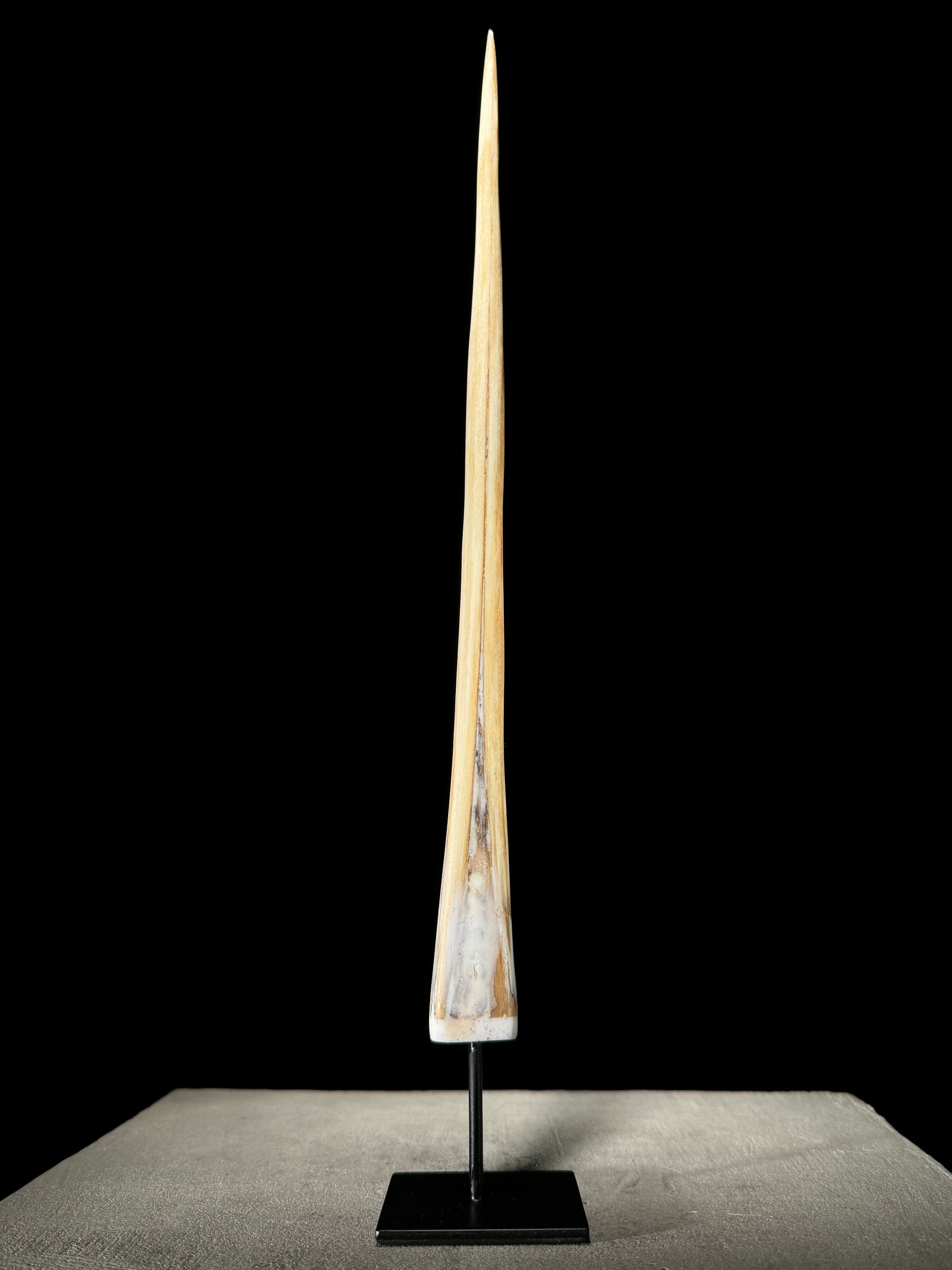 Marlin tusk on stand  - Tusk,A/017