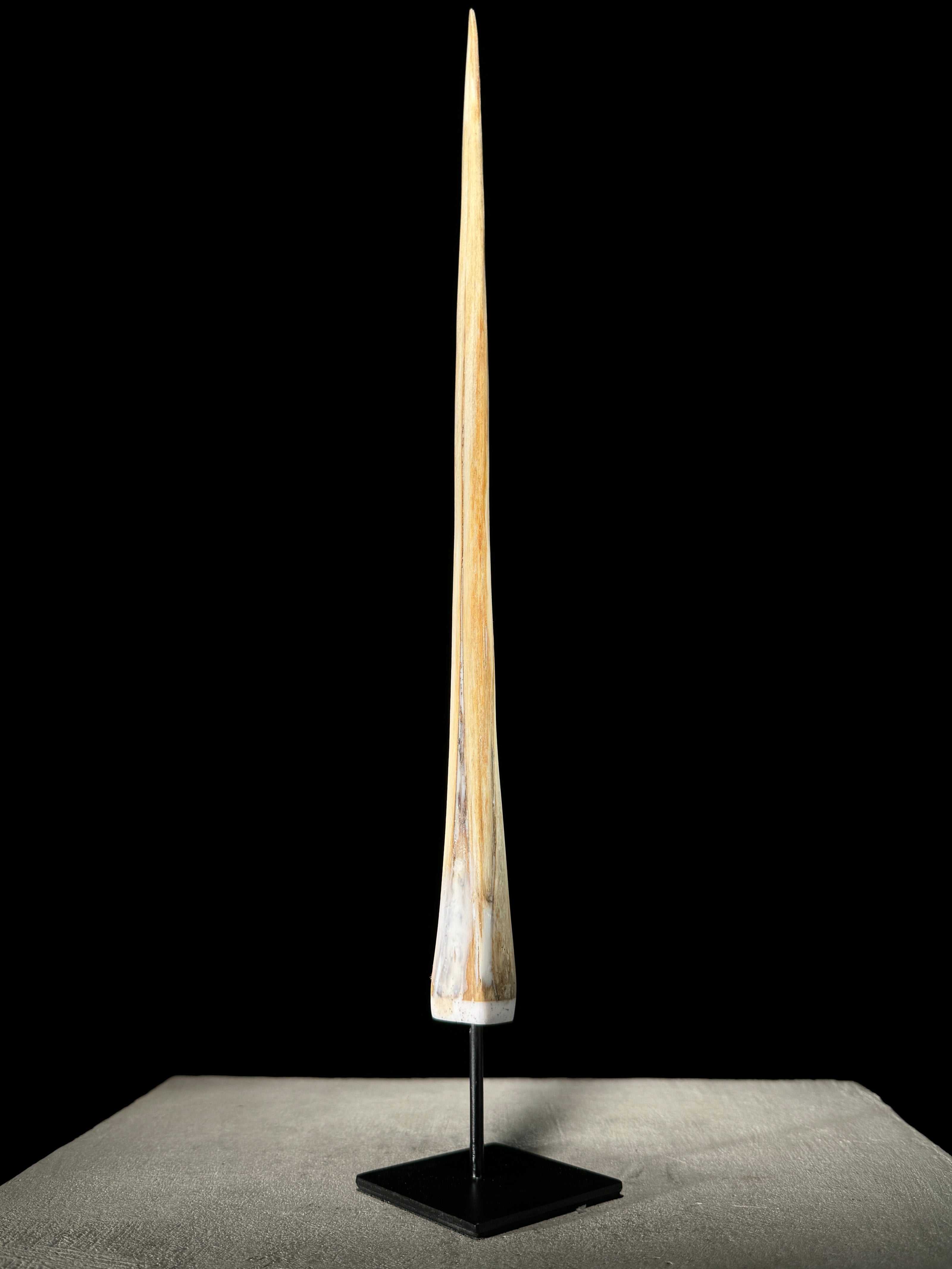 Marlin tusk on stand  - Tusk,A/017