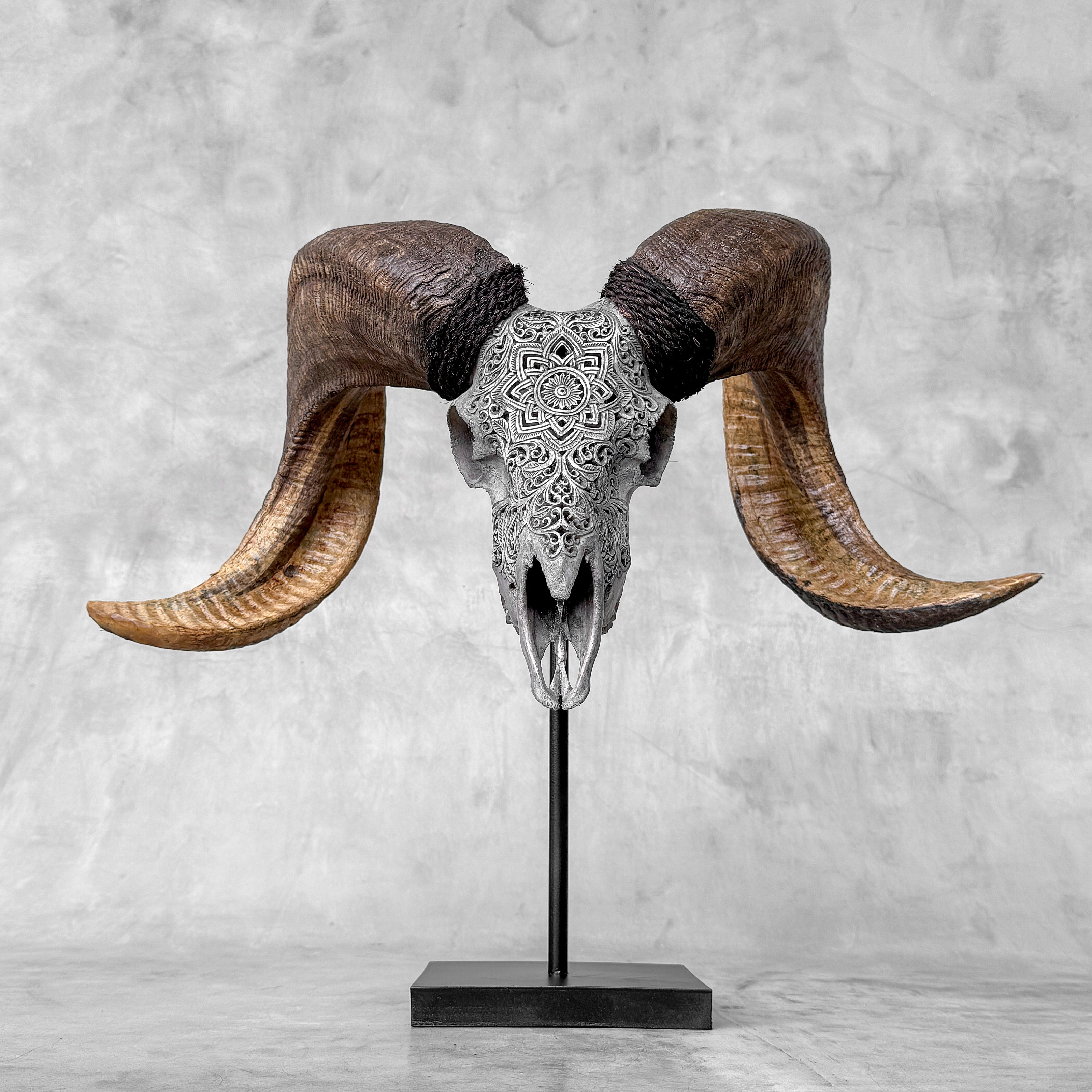 Carved Ram Skull with Star Mandala motif on stand - Skull,A/160