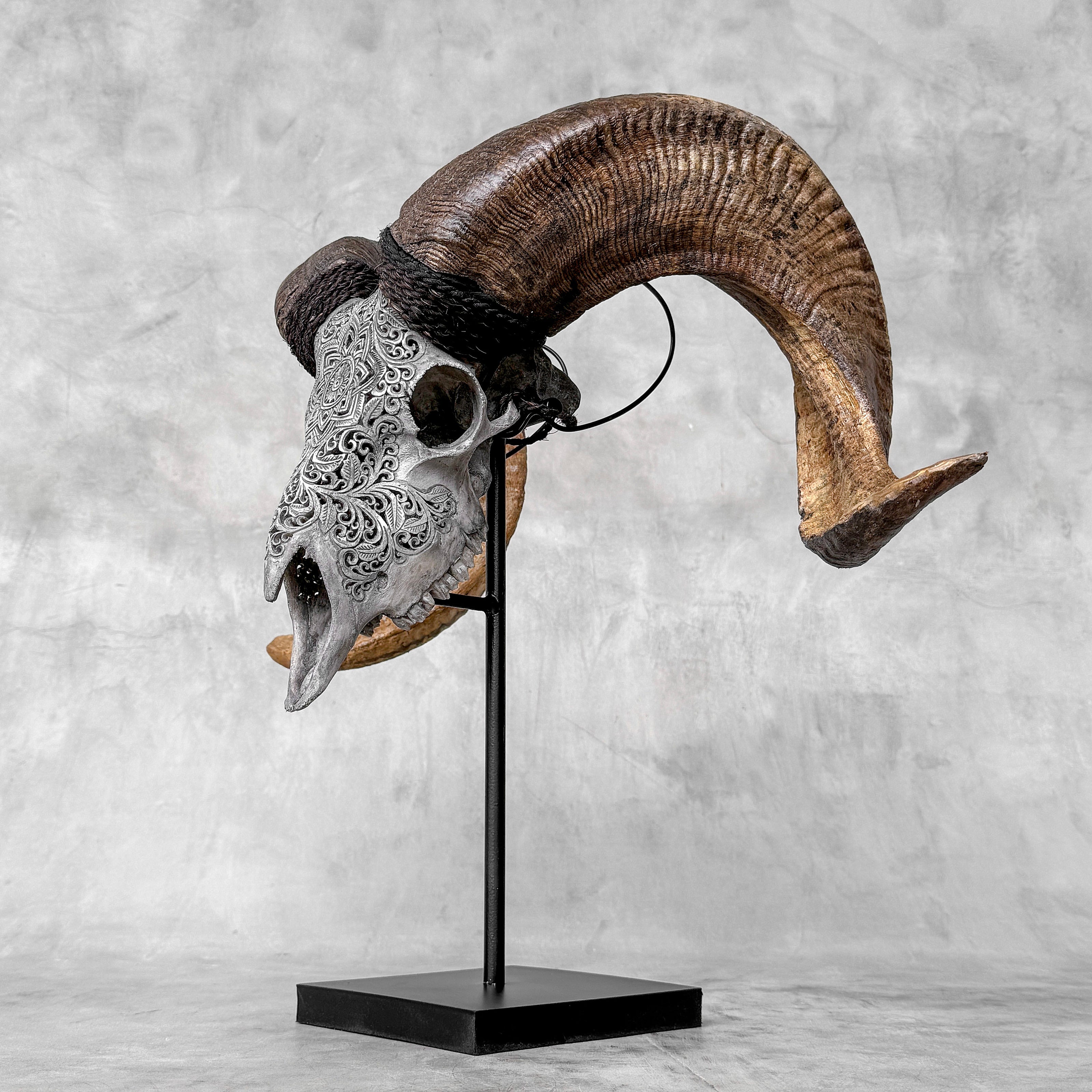 Carved Ram Skull with Star Mandala motif on stand - Skull,A/160