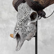 Carved Ram Skull with Star Mandala motif on stand - Skull,A/160