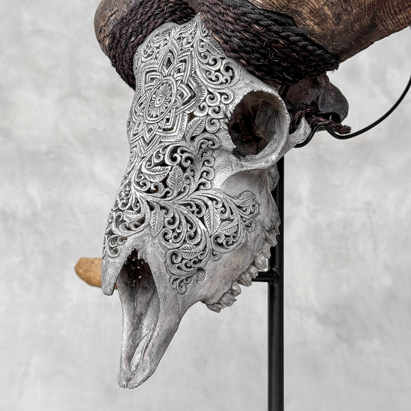 Carved Ram Skull with Star Mandala motif on stand - Skull,A/160