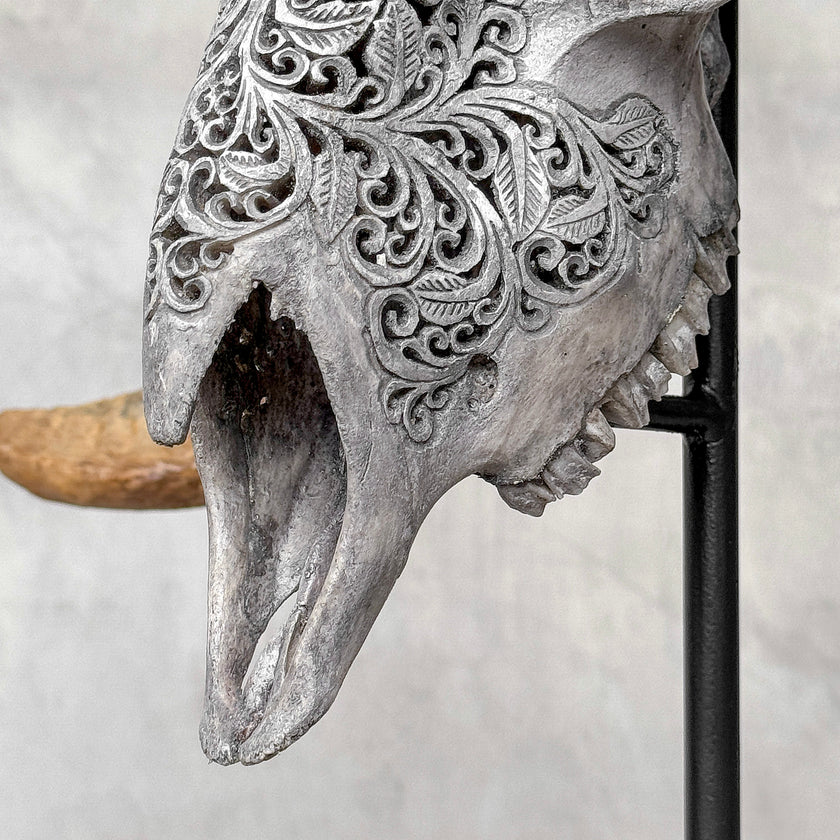 Carved Ram Skull with Star Mandala motif on stand - Skull,A/160