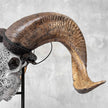 Carved Ram Skull with Star Mandala motif on stand - Skull,A/160