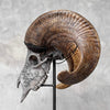 Carved Ram Skull with Star Mandala motif on stand - Skull,A/160