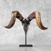 Carved Ram Skull with Star Mandala motif on stand - Skull,A/160