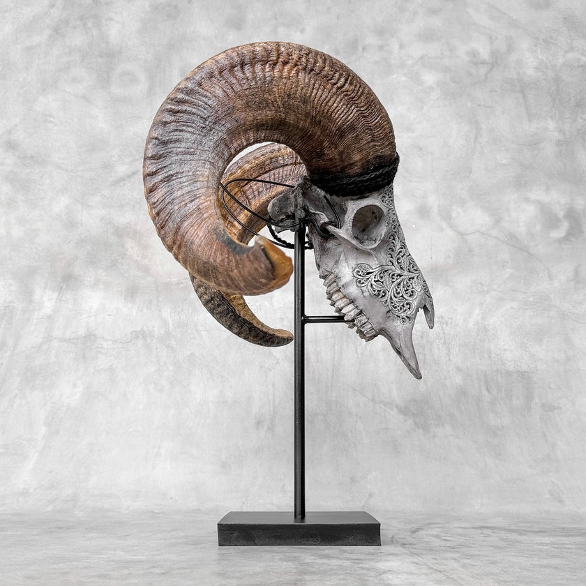 Carved Ram Skull with Star Mandala motif on stand - Skull,A/160