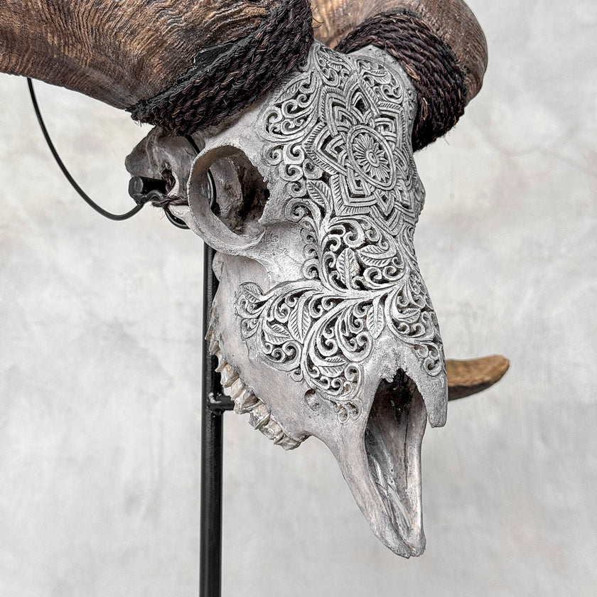 Carved Ram Skull with Star Mandala motif on stand - Skull,A/160