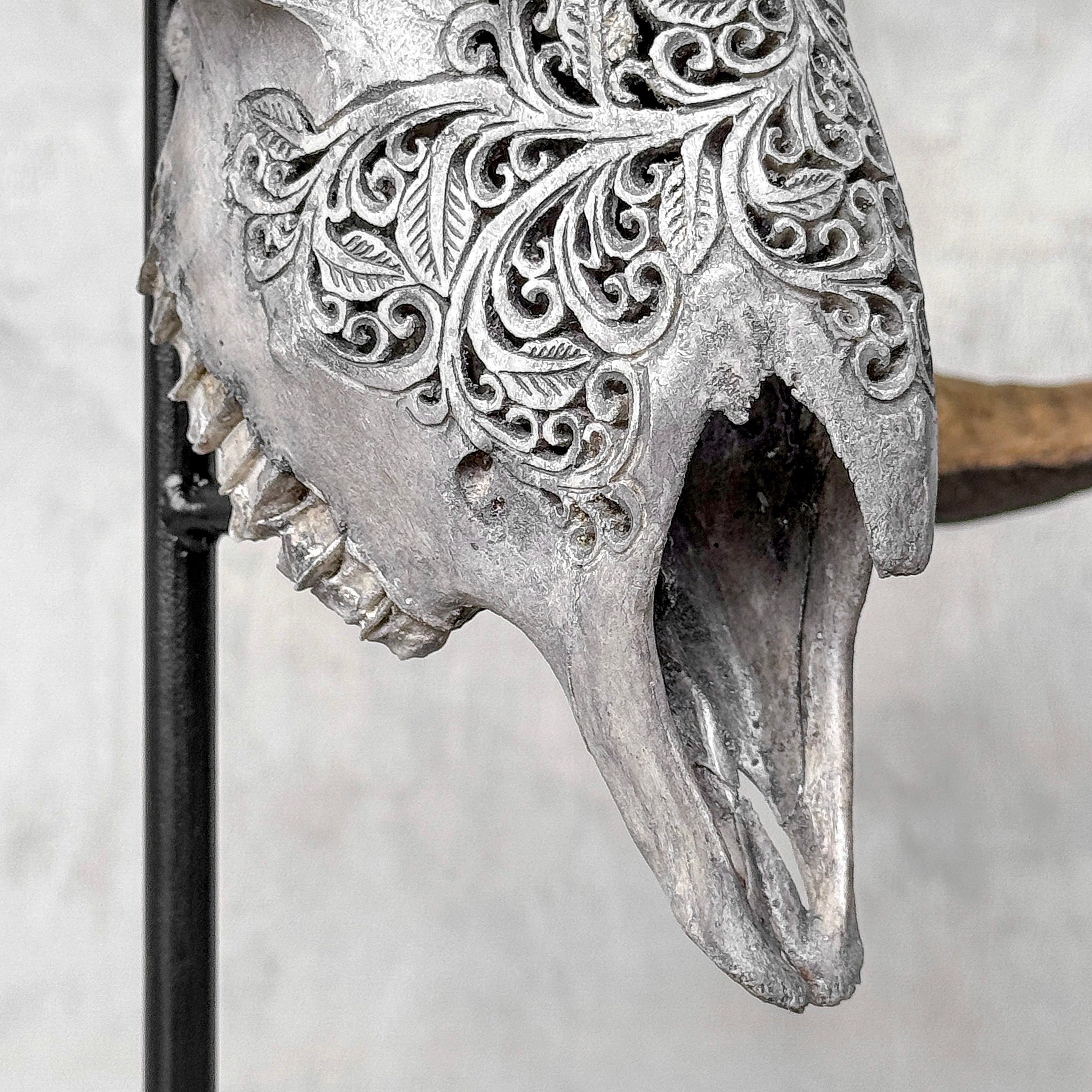 Carved Ram Skull with Star Mandala motif on stand - Skull,A/160