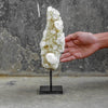 Beautiful Quartz Crystal cluster on a custom stand CC/003