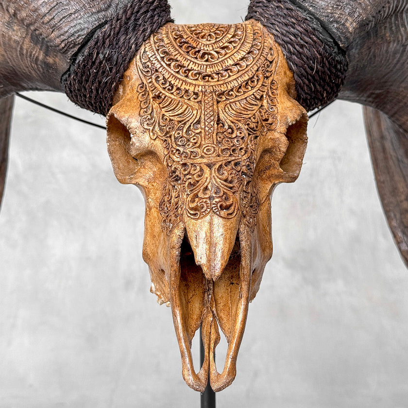 Carved Ram Skull with Badong motif on stand - Skull,A/162