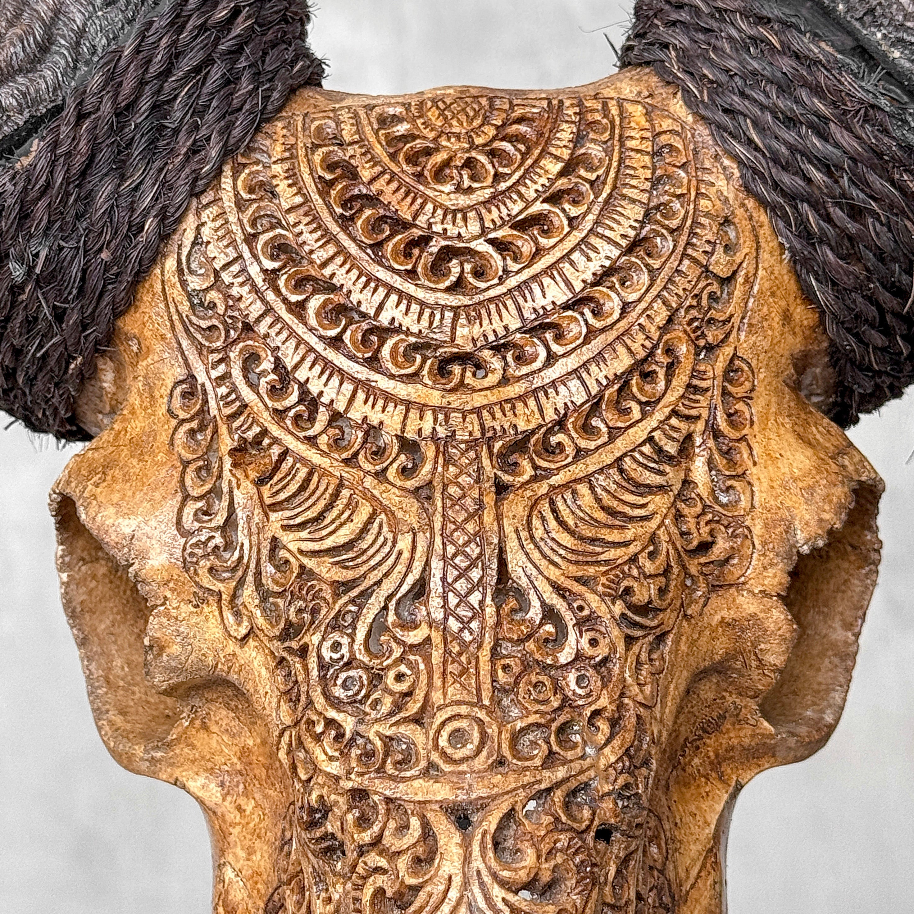 Carved Ram Skull with Badong motif on stand - Skull,A/162