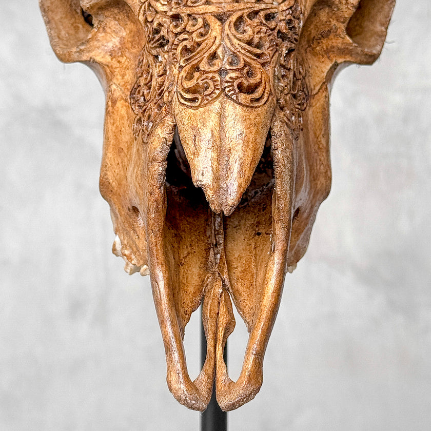 Carved Ram Skull with Badong motif on stand - Skull,A/162