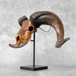 Carved Ram Skull with Badong motif on stand - Skull,A/162