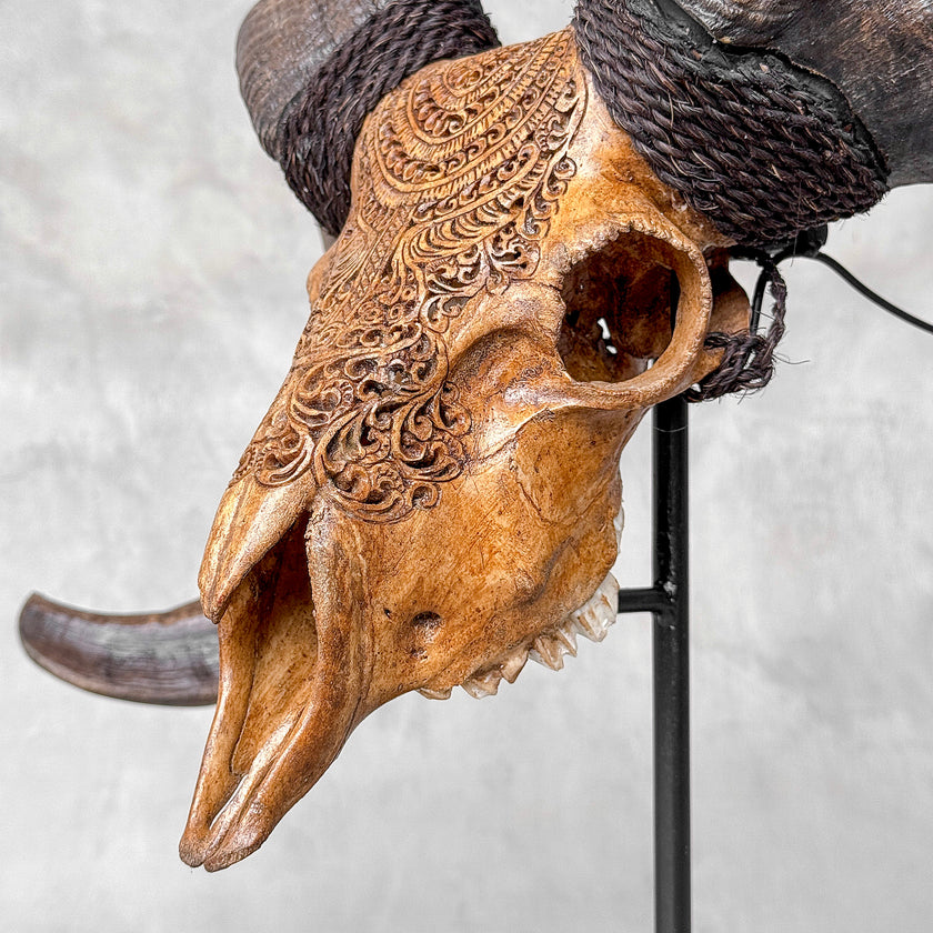 Carved Ram Skull with Badong motif on stand - Skull,A/162