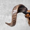 Carved Ram Skull with Badong motif on stand - Skull,A/162