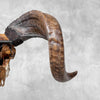 Carved Ram Skull with Badong motif on stand - Skull,A/162