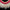 Decorative Shell Necklace SN 7 | SN A/06