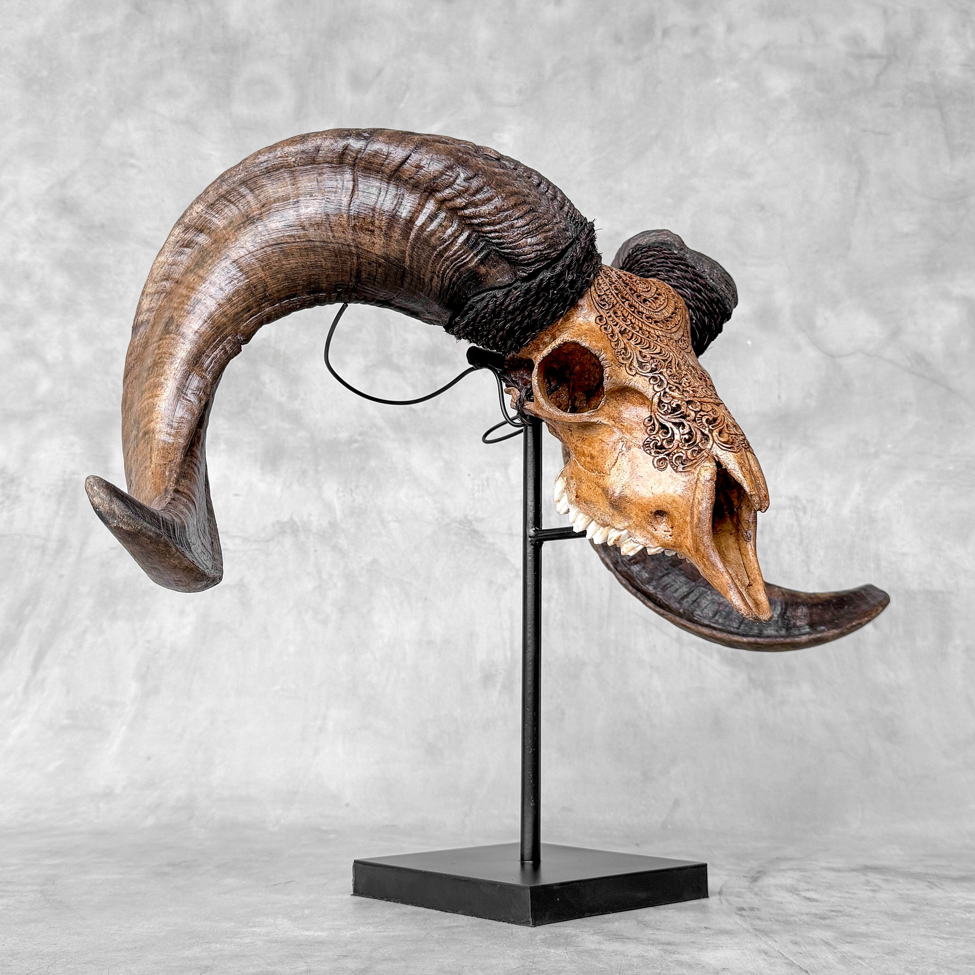Carved Ram Skull with Badong motif on stand - Skull,A/162