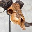 Carved Ram Skull with Badong motif on stand - Skull,A/162