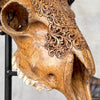 Carved Ram Skull with Badong motif on stand - Skull,A/162