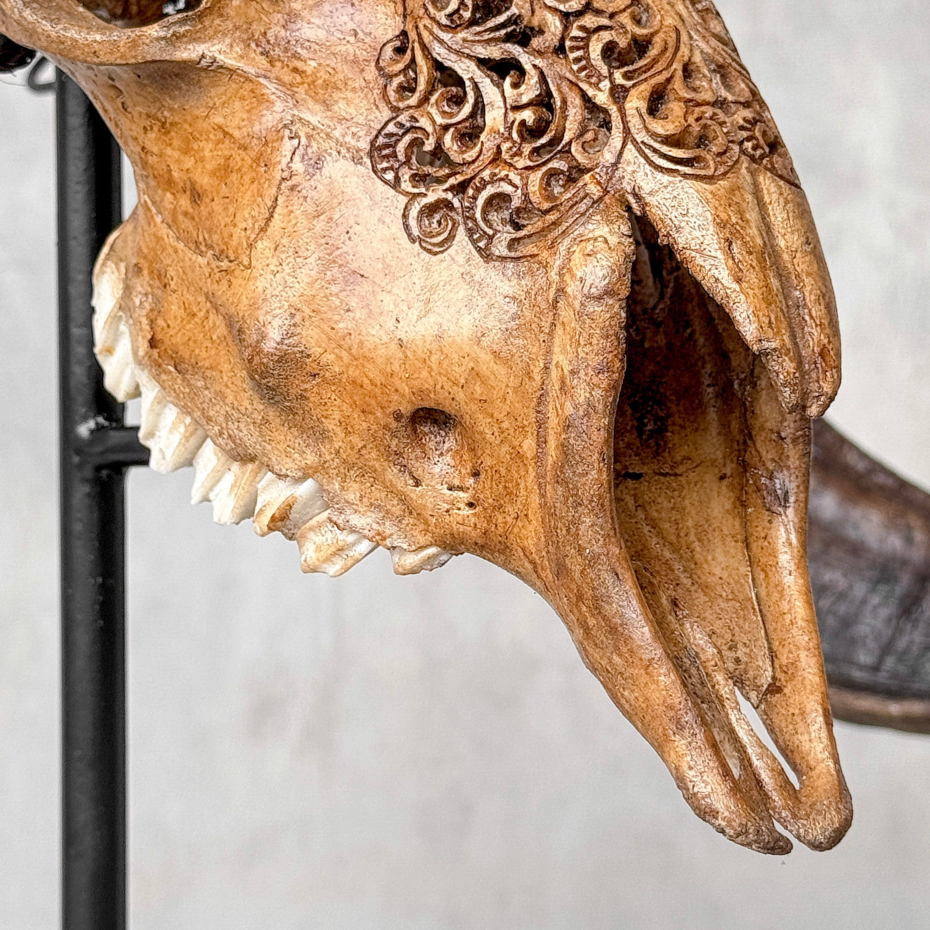 Carved Ram Skull with Badong motif on stand - Skull,A/162