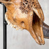 Carved Ram Skull with Badong motif on stand - Skull,A/162