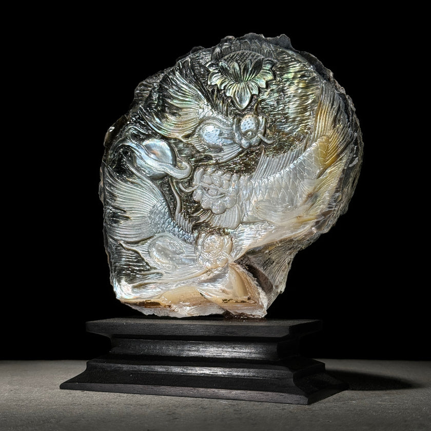 MoP Shell L Koi Fish - ToS,A/006