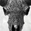 Carved Ram Skull with Star Mandala motif on stand - Skull,A/182