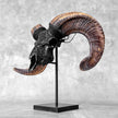 Carved Ram Skull with Star Mandala motif on stand - Skull,A/182