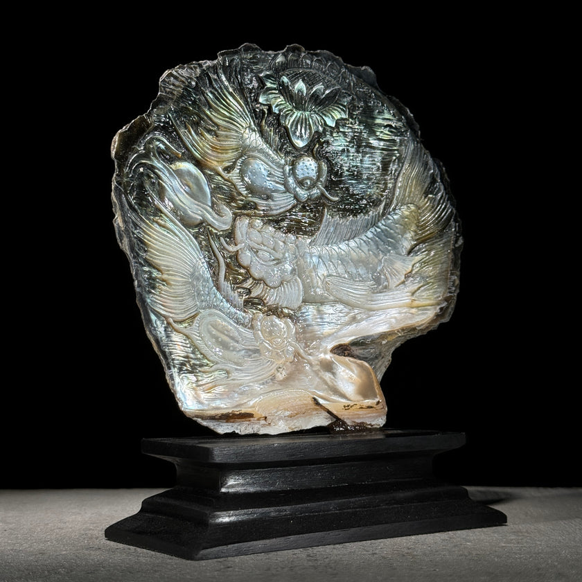 MoP Shell L Koi Fish - ToS,A/006