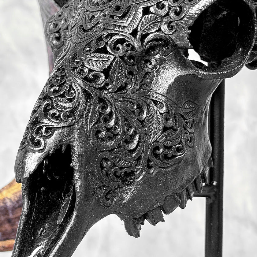 Carved Ram Skull with Star Mandala motif on stand - Skull,A/182