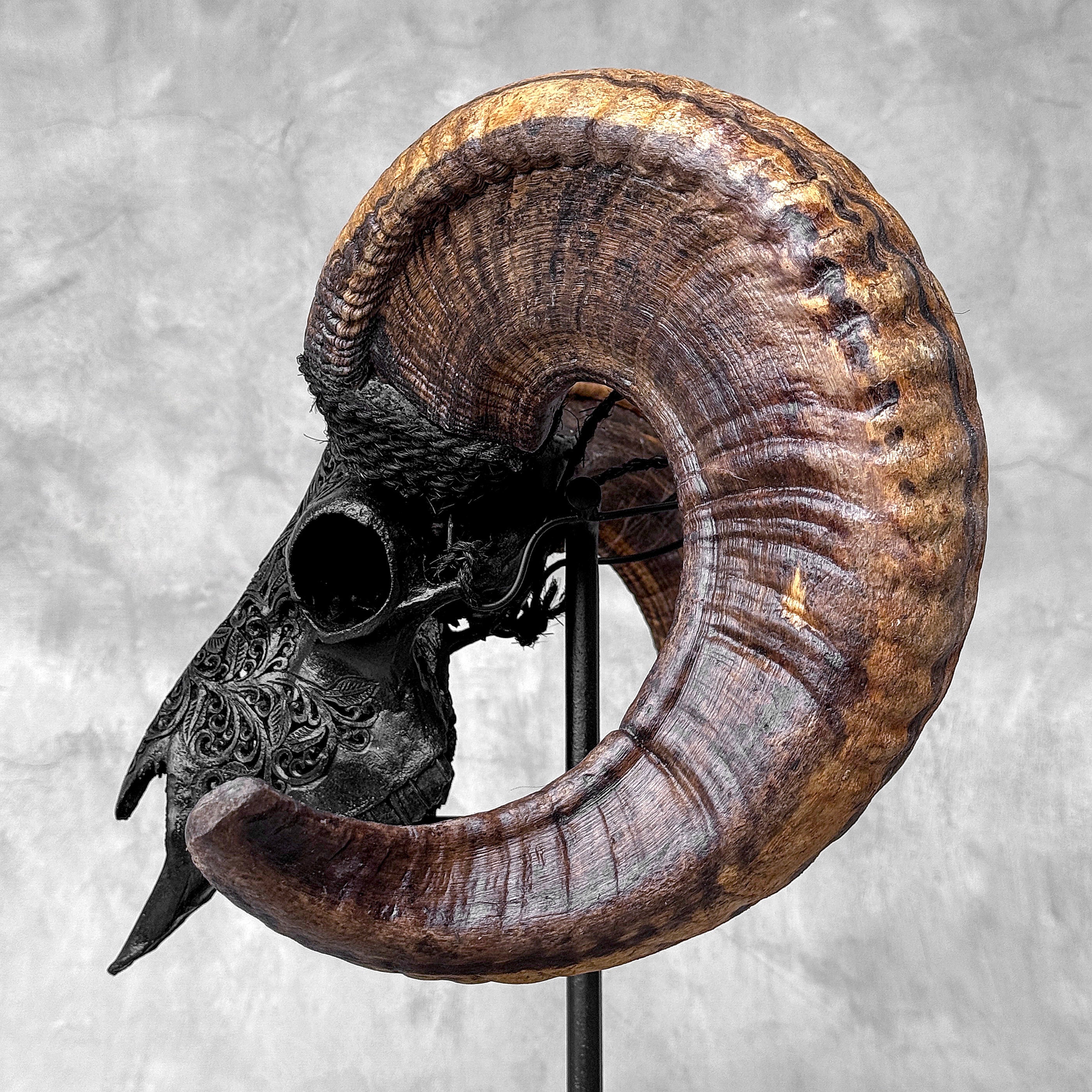 Carved Ram Skull with Star Mandala motif on stand - Skull,A/182