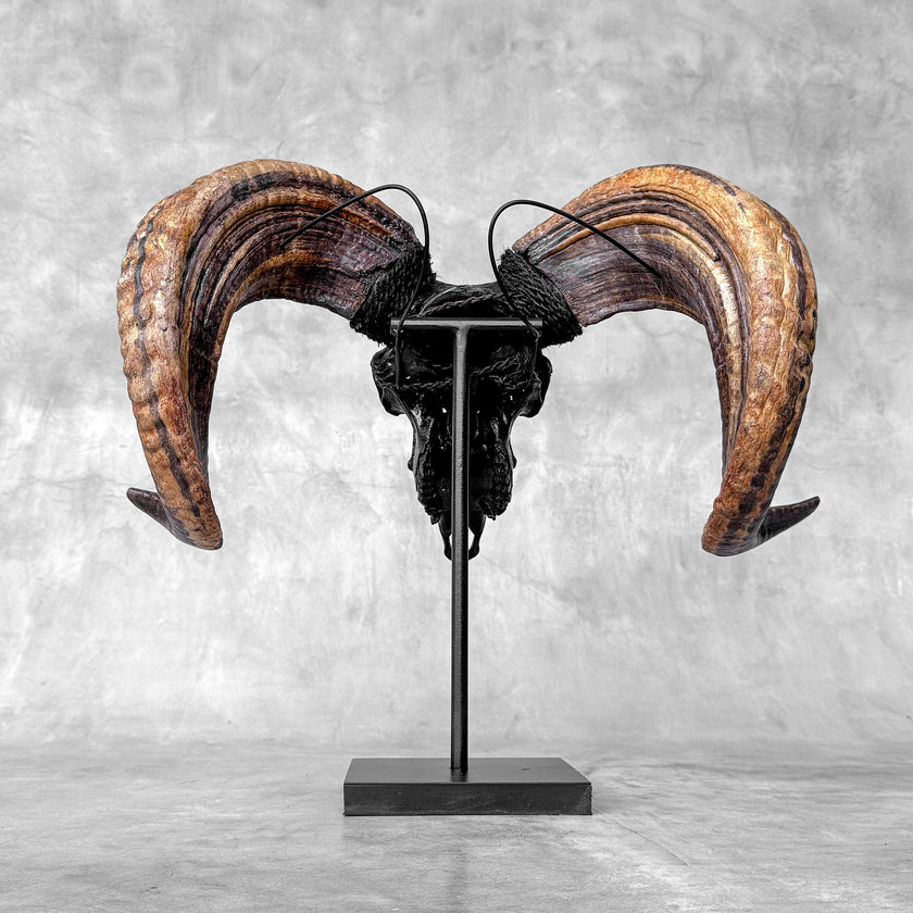 Carved Ram Skull with Star Mandala motif on stand - Skull,A/182