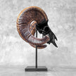 Carved Ram Skull with Star Mandala motif on stand - Skull,A/182