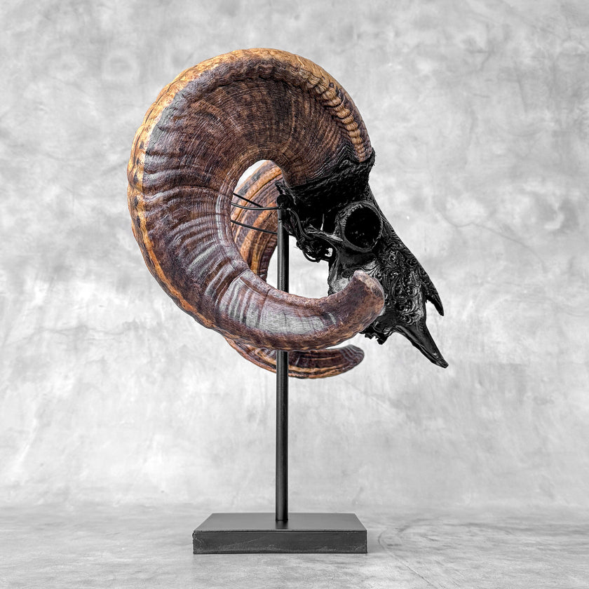 Carved Ram Skull with Star Mandala motif on stand - Skull,A/182