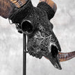 Carved Ram Skull with Star Mandala motif on stand - Skull,A/182