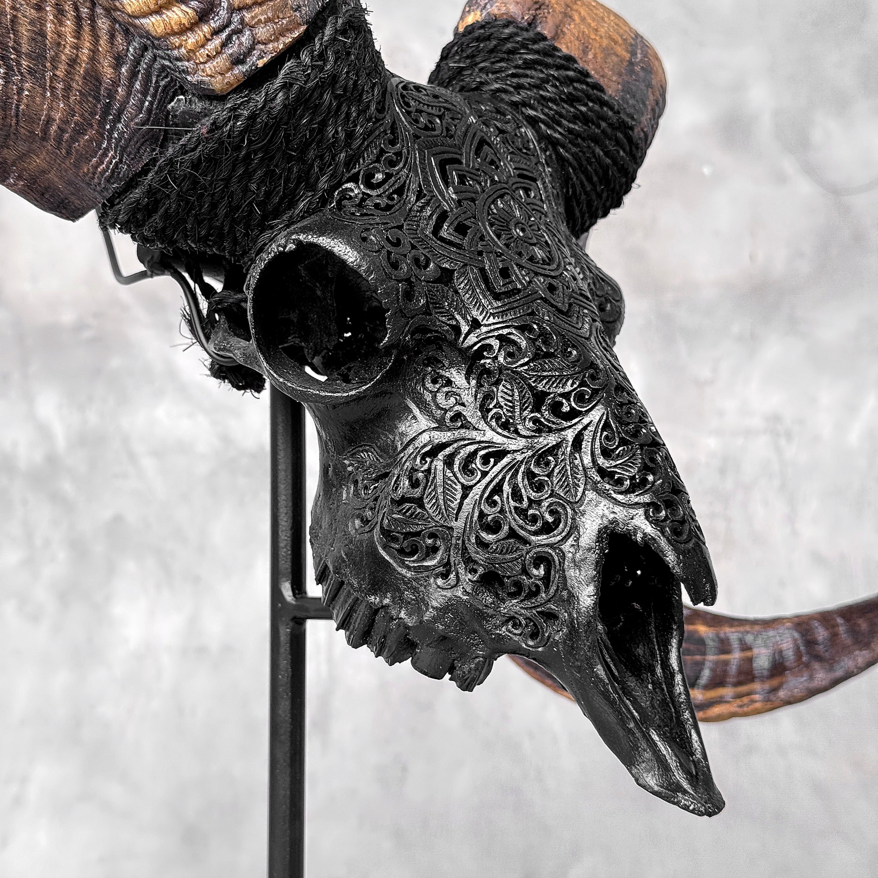 Carved Ram Skull with Star Mandala motif on stand - Skull,A/182