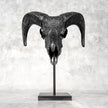 Black Ram Skull Carved Horns with Big Lotus motif on stand - Skull,A/163