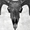 Black Ram Skull Carved Horns with Big Lotus motif on stand - Skull,A/163