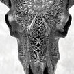 Black Ram Skull Carved Horns with Big Lotus motif on stand - Skull,A/163