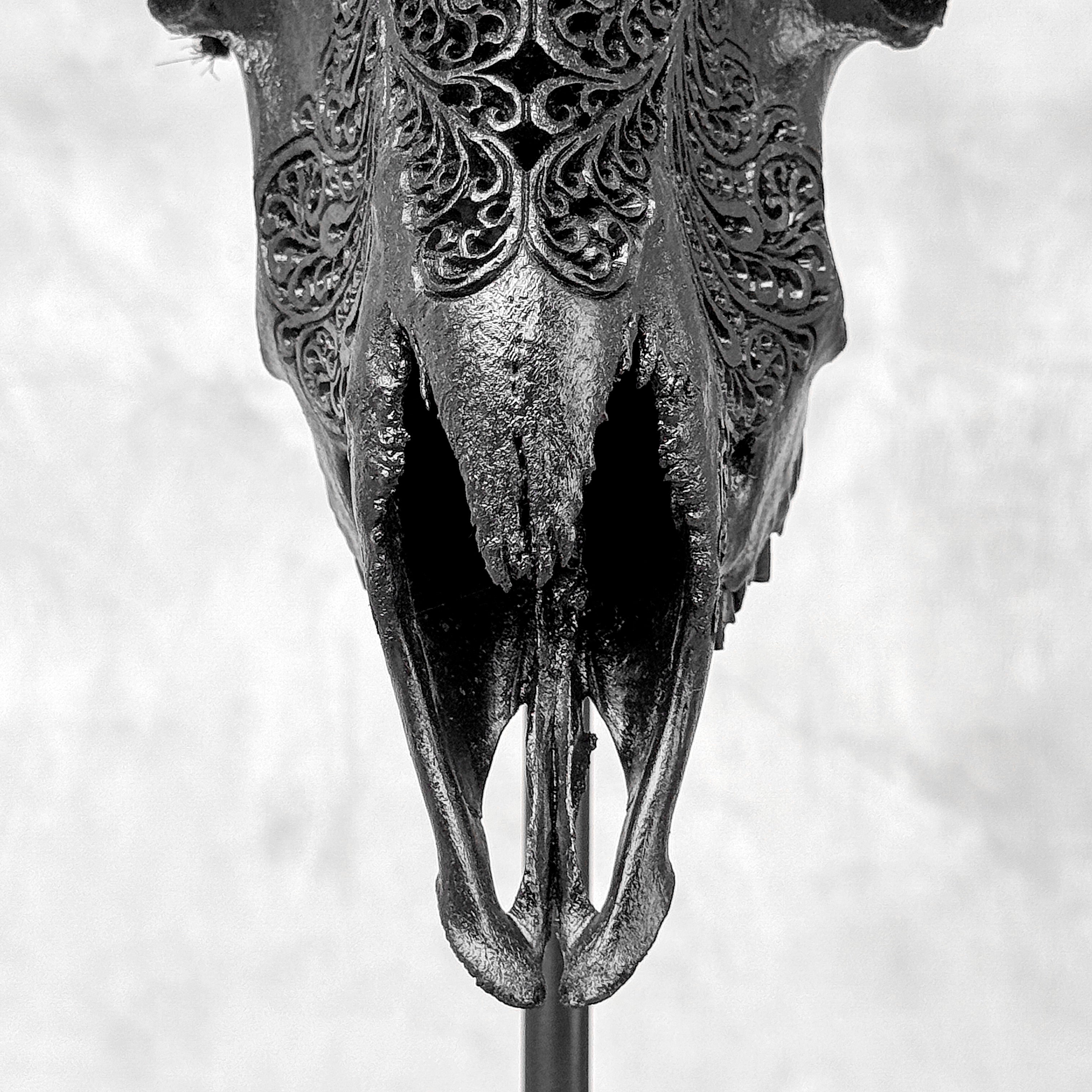 Black Ram Skull Carved Horns with Big Lotus motif on stand - Skull,A/163