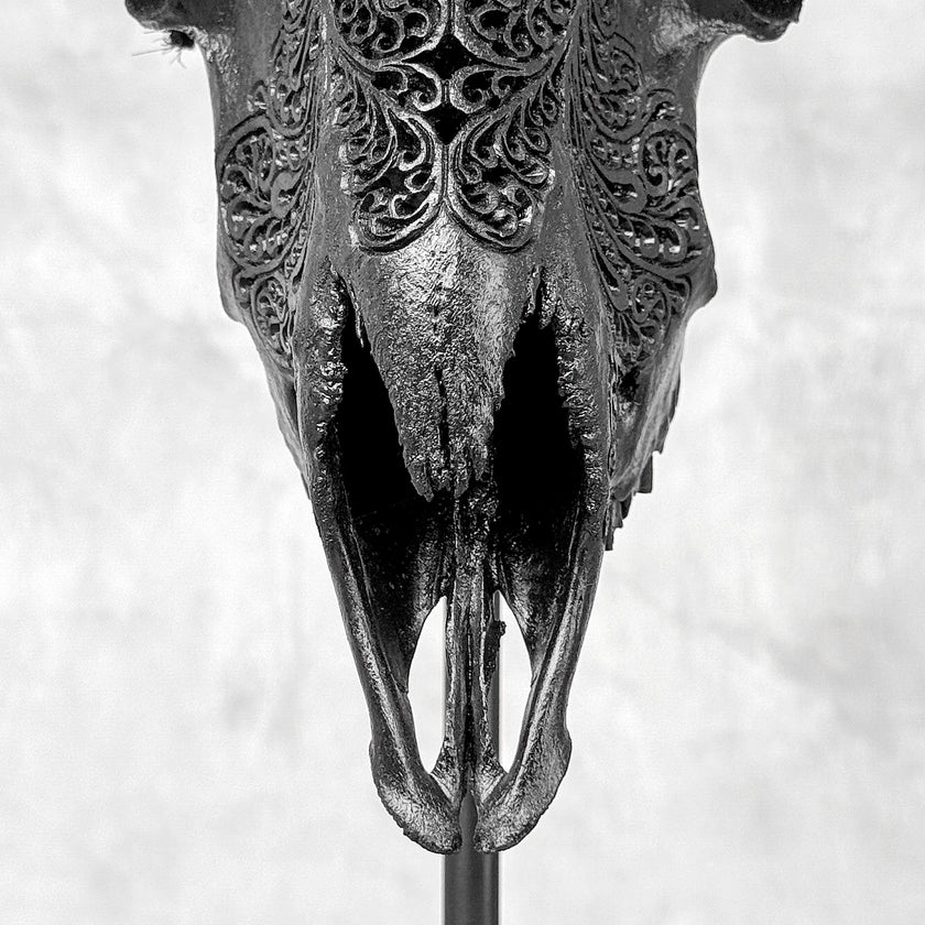 Black Ram Skull Carved Horns with Big Lotus motif on stand - Skull,A/163