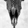 Black Ram Skull Carved Horns with Big Lotus motif on stand - Skull,A/163