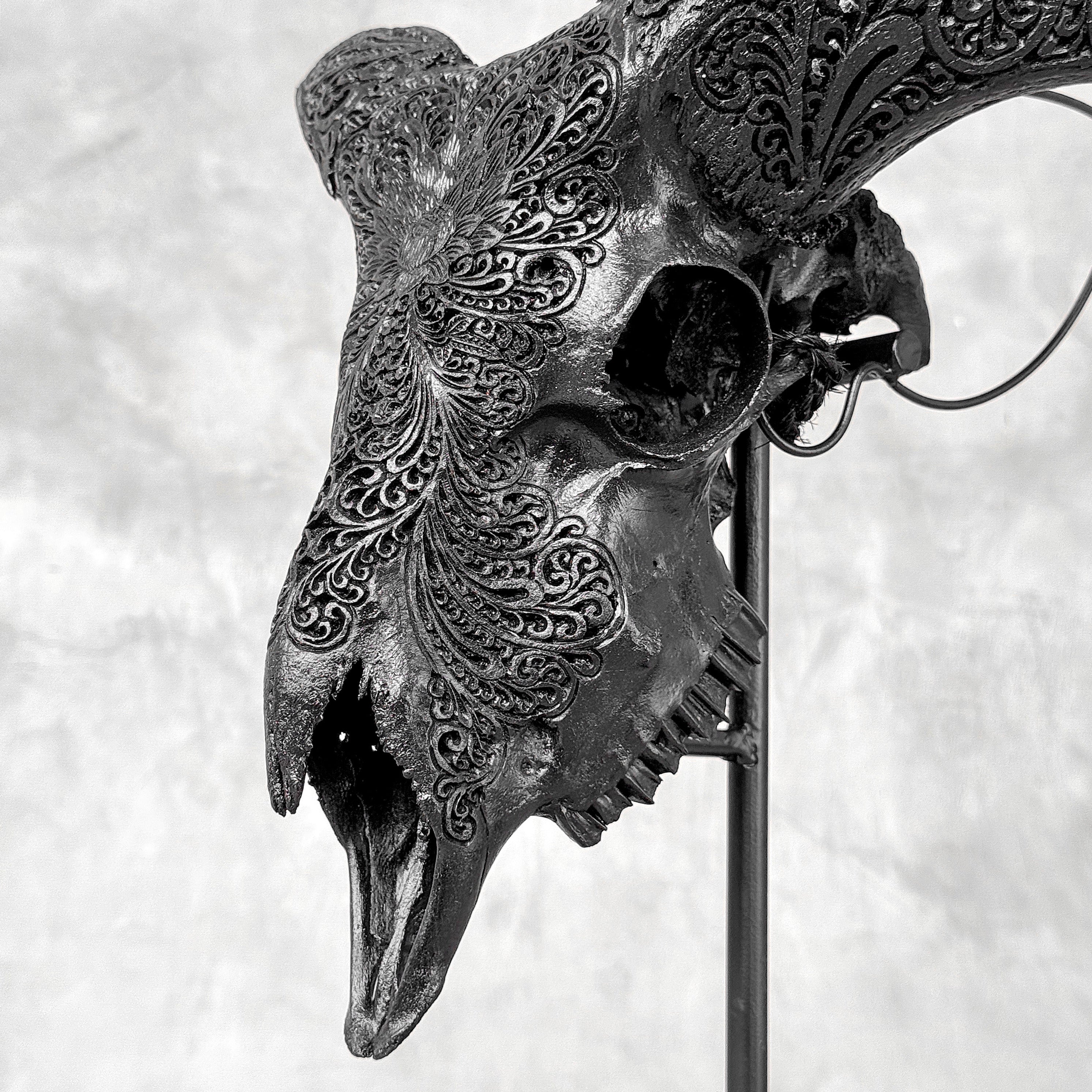 Black Ram Skull Carved Horns with Big Lotus motif on stand - Skull,A/163