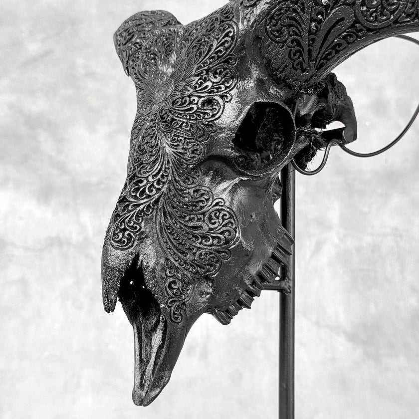 Black Ram Skull Carved Horns with Big Lotus motif on stand - Skull,A/163