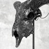 Black Ram Skull Carved Horns with Big Lotus motif on stand - Skull,A/163