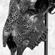 Black Ram Skull Carved Horns with Big Lotus motif on stand - Skull,A/163